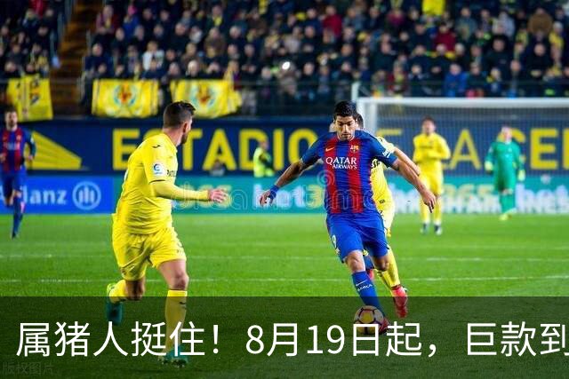 属猪人挺住！8月19日起，巨款到账、人生彻底起飞，今年你要笑醒